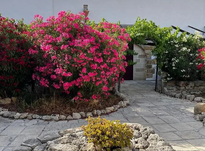 Alojamento de Acomodação e Pequeno-almoço Masseria Bella Viola