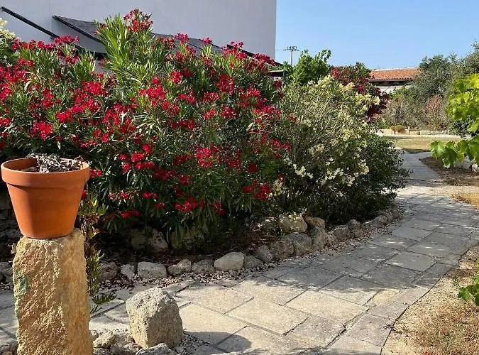 Masseria Bella Viola * 托雷瑞纳尔达